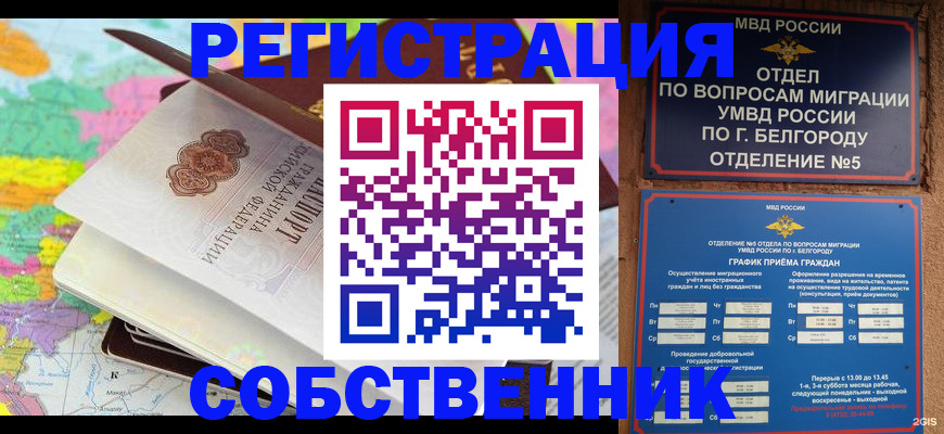 временная регистрация гарантия в Коврове